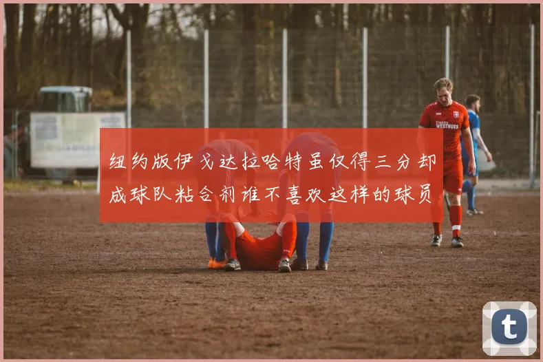 纽约版伊戈达拉哈特虽仅得三分却成球队粘合剂谁不喜欢这样的球员
