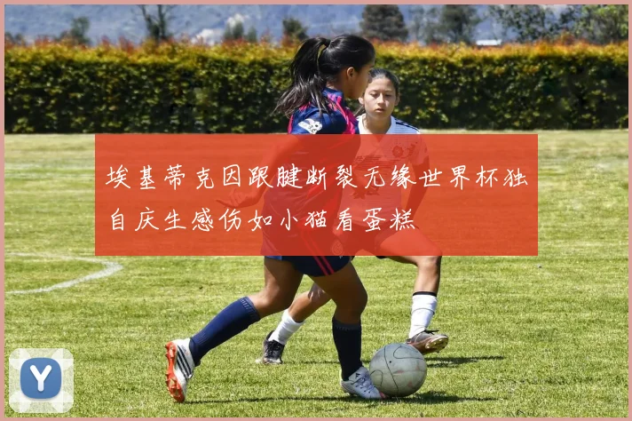 埃基蒂克因跟腱断裂无缘世界杯独自庆生感伤如小猫看蛋糕